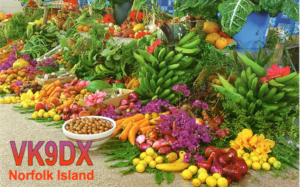 VK9DX Norfolk Is. in JM78