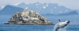 KL7HBK Alaska on 6m